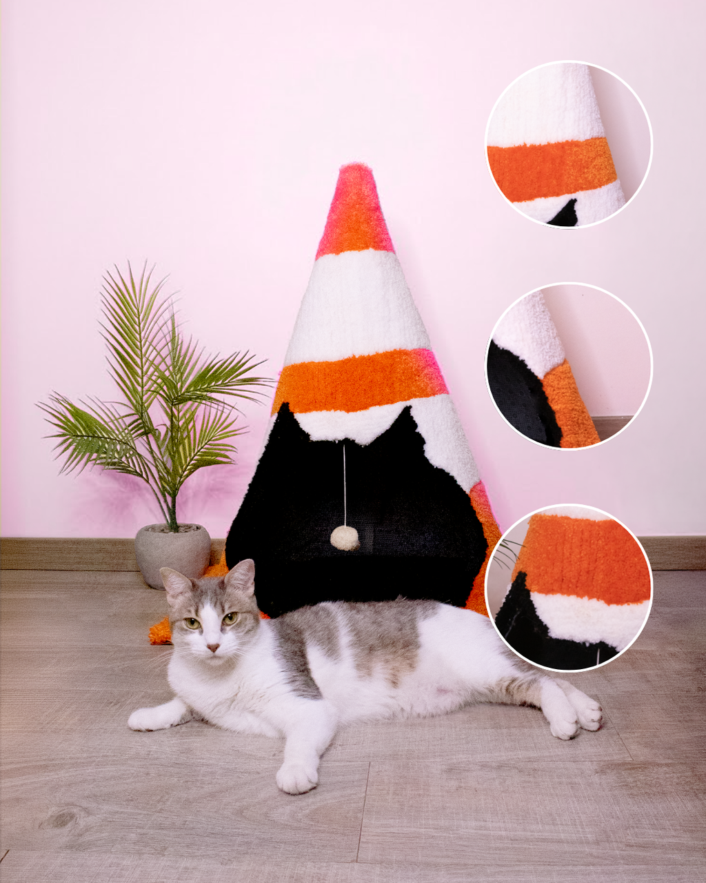 The Cat Cone