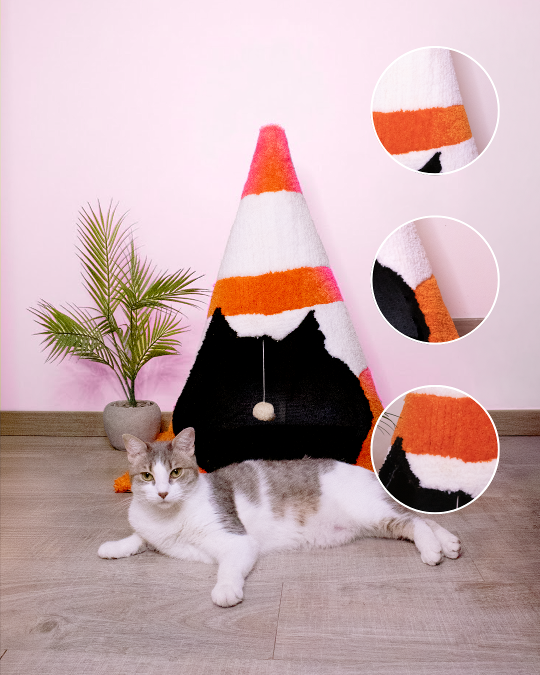 The Cat Cone