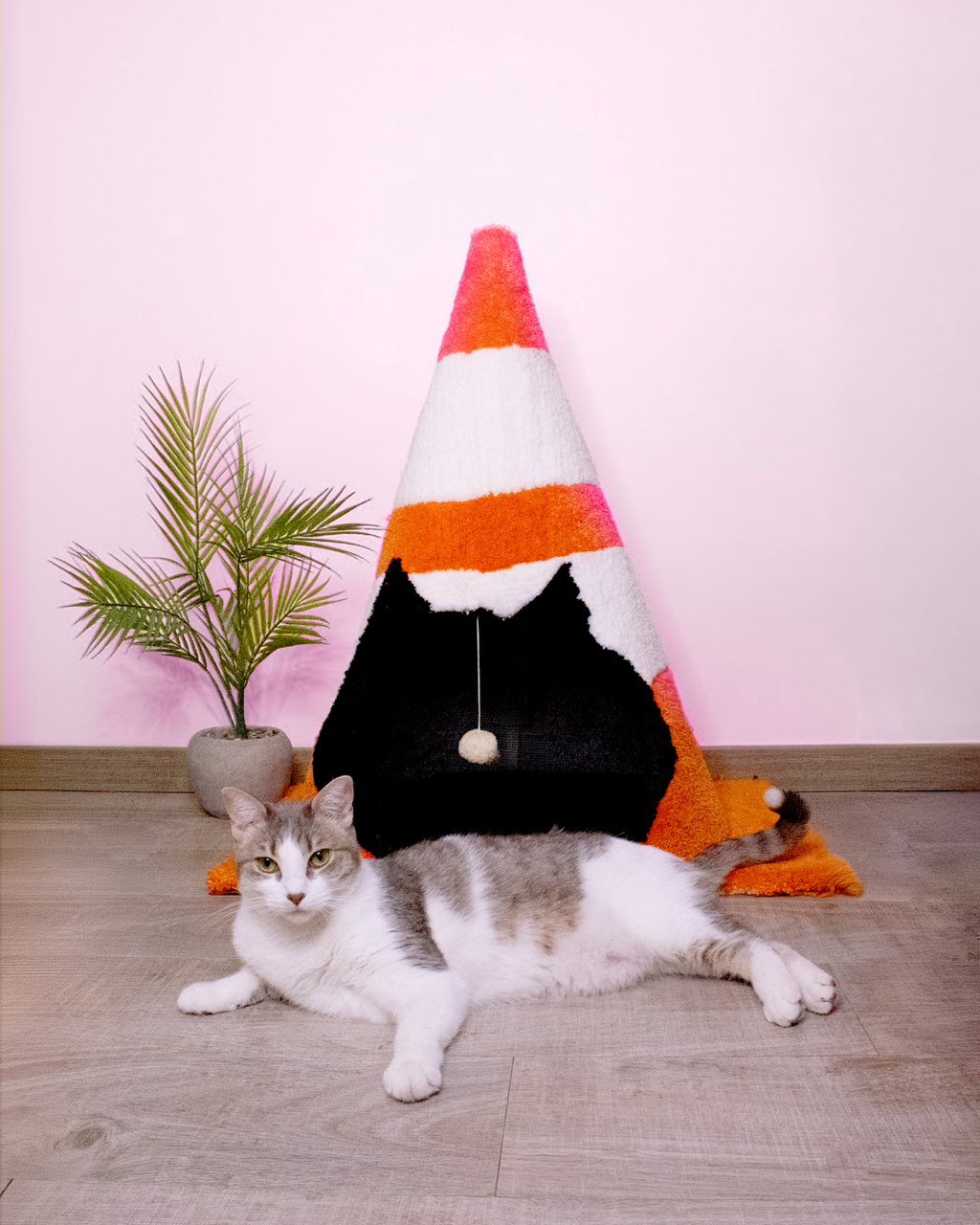 The Cat Cone