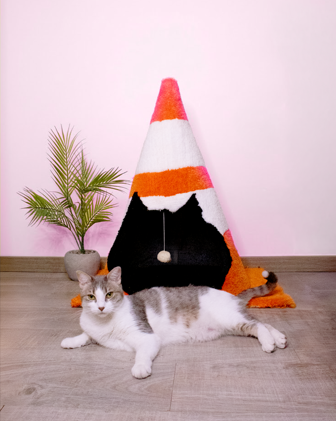 The Cat Cone